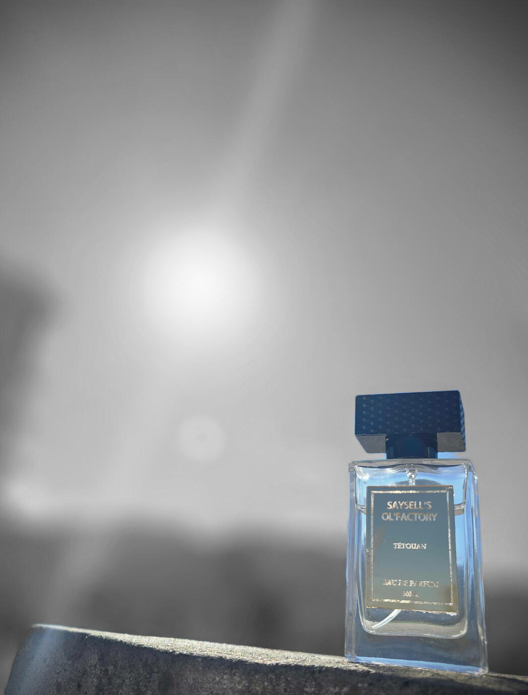 "SLOW-EVOLVING COMPOSITIONS "